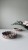 IMG_6142.jpeg