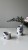 IMG_6171.jpeg
