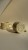 IMG_8050.jpeg