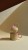 IMG_7868.jpeg