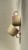 IMG_8062.jpeg