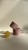 IMG_8074.jpeg