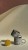 IMG_8028.jpeg