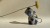 IMG_8015.jpeg