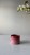 IMG_8225.jpeg