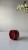 IMG_8226.jpeg