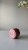 IMG_8228.jpeg