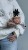IMG_4733.jpeg